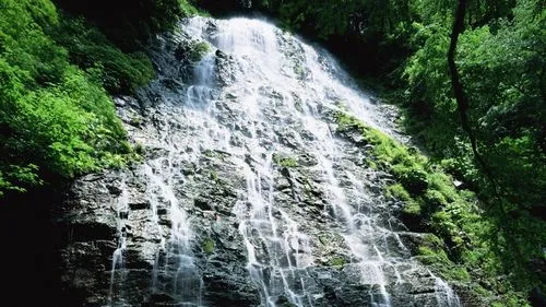 绿色高标准